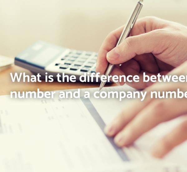 What is the difference between a VAT number and a company number?